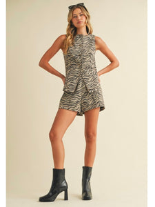 Sand Zebra Set