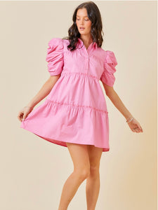 Pink Poplin Button Down Dress